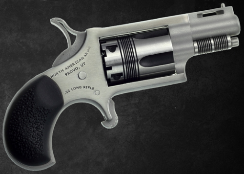 NORTH AMERICAN ARMS THE WASP 22LR REV 1-1/8" SS