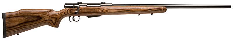SAVAGE ARMS 25LV 17HORNET BL/LAM DBM